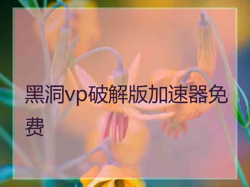 黑洞vp破解版加速器免费