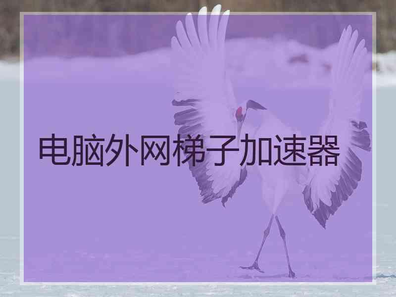 电脑外网梯子加速器