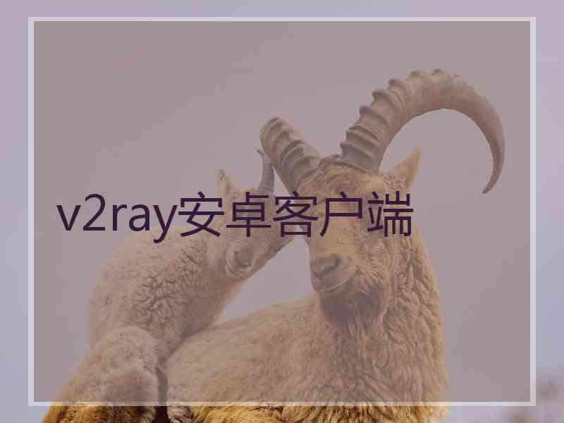 v2ray安卓客户端