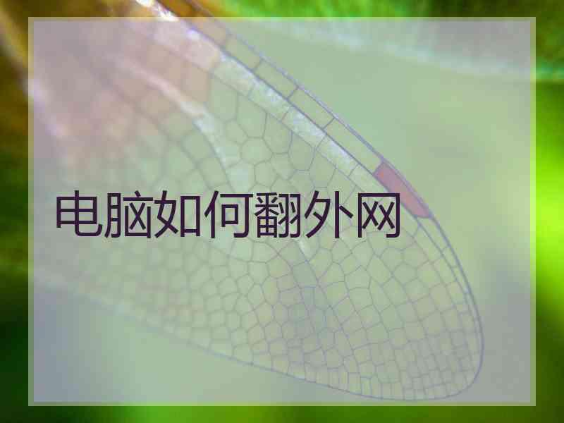电脑如何翻外网