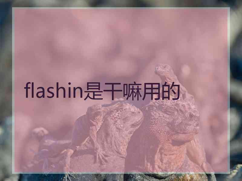 flashin是干嘛用的