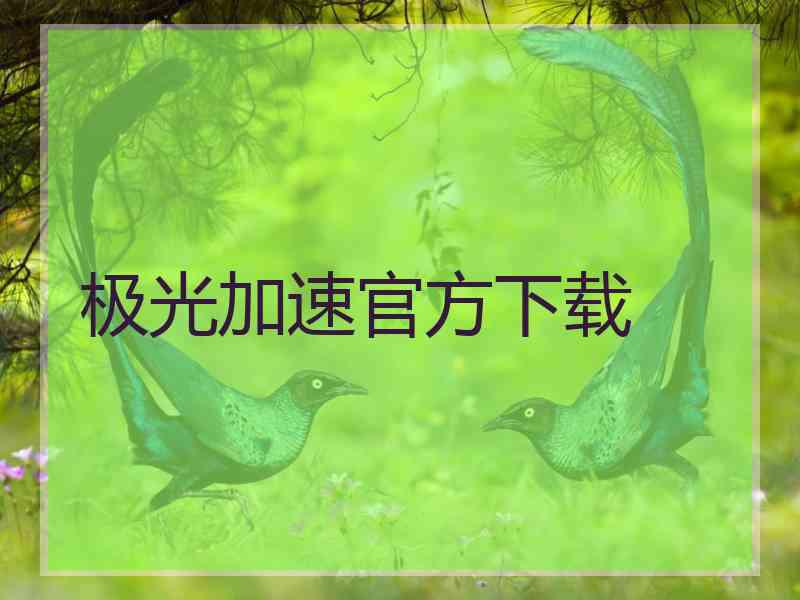 极光加速官方下载