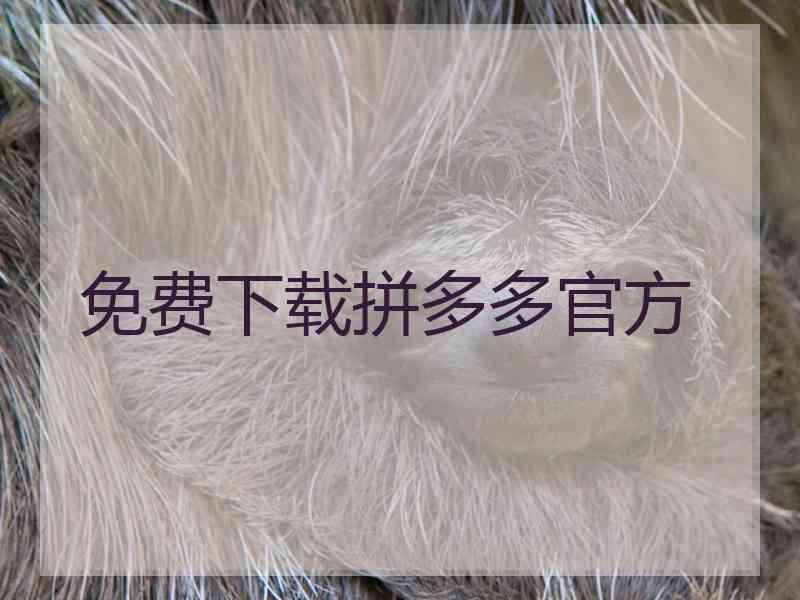 免费下载拼多多官方