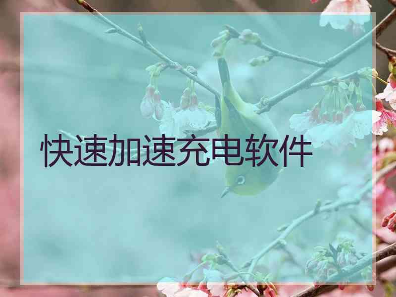 快速加速充电软件