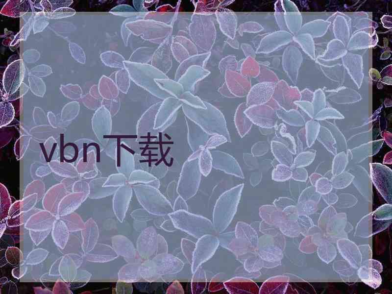 vbn下载