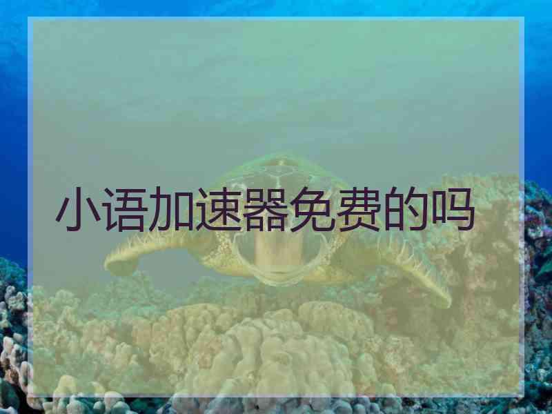 小语加速器免费的吗