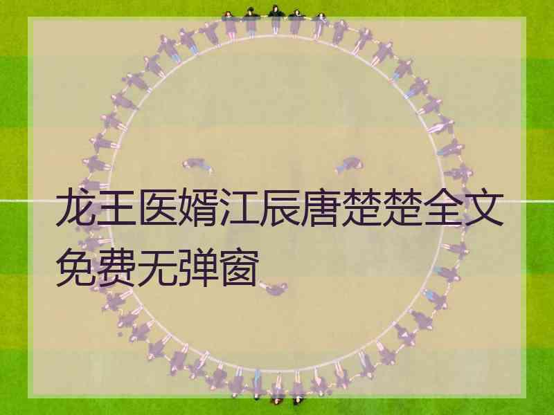 龙王医婿江辰唐楚楚全文免费无弹窗