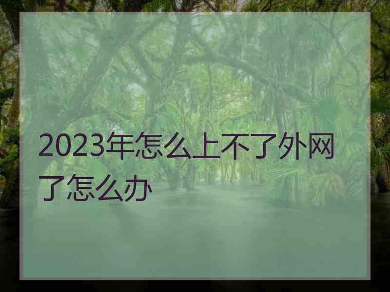2023年怎么上不了外网了怎么办