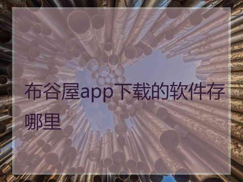 布谷屋app下载的软件存哪里