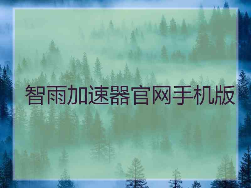 智雨加速器官网手机版
