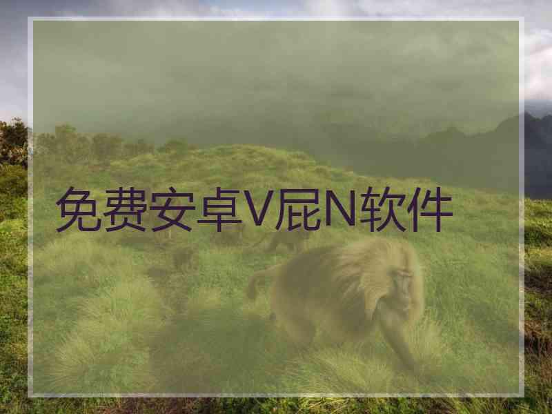 免费安卓V屁N软件