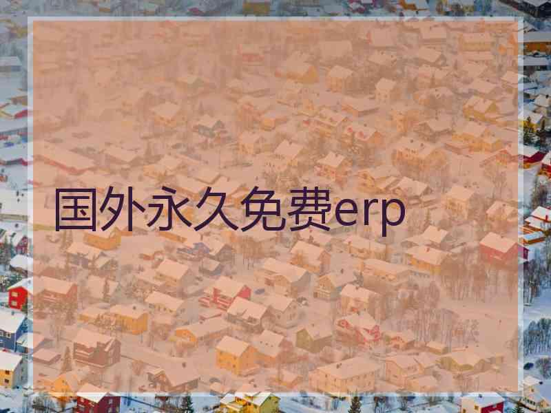 国外永久免费erp