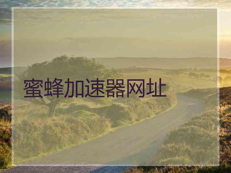 蜜蜂加速器网址