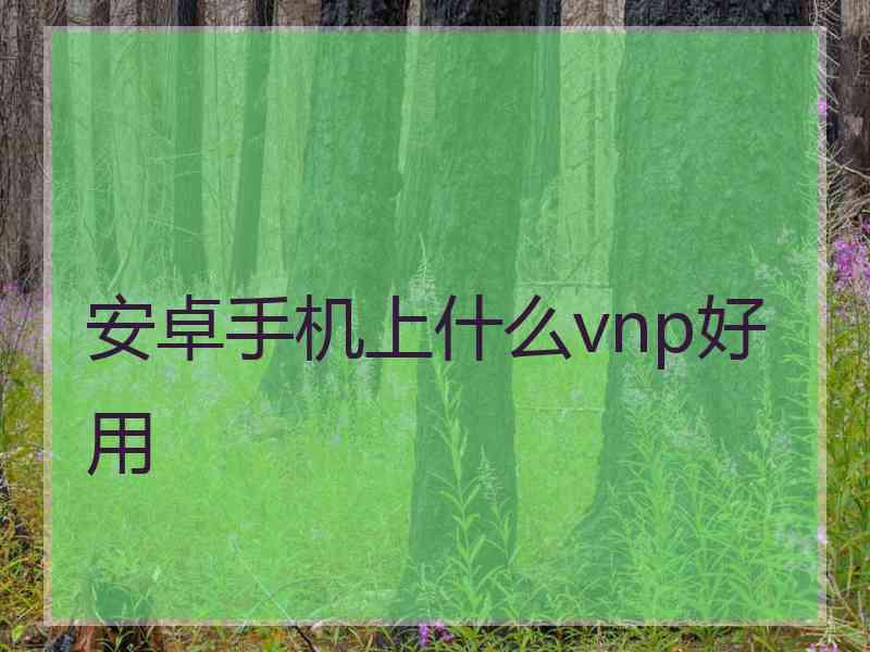 安卓手机上什么vnp好用