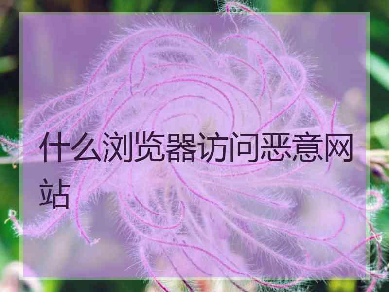 什么浏览器访问恶意网站