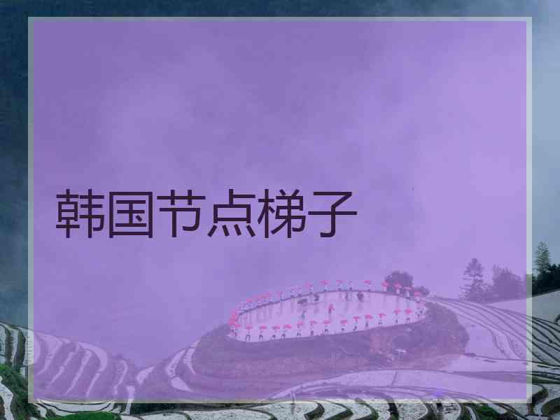 韩国节点梯子