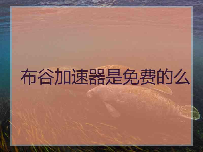 布谷加速器是免费的么