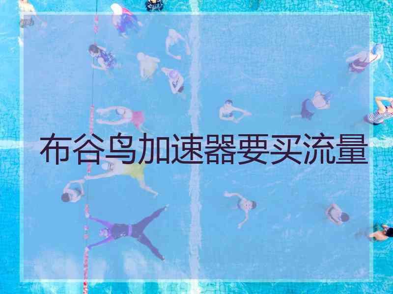 布谷鸟加速器要买流量
