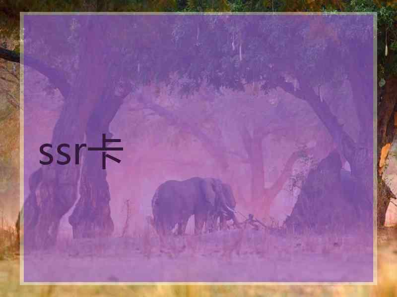 ssr卡