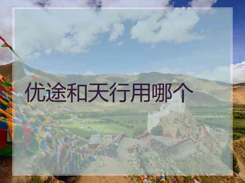 优途和天行用哪个
