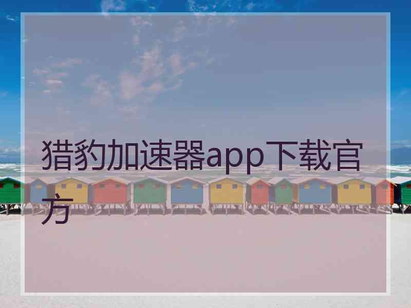 猎豹加速器app下载官方