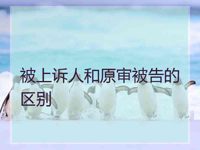 被上诉人和原审被告的区别
