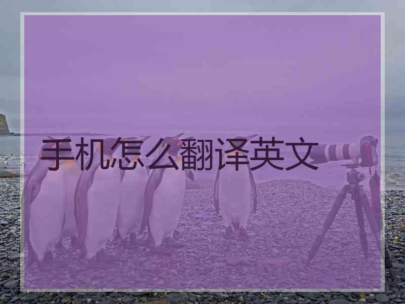 手机怎么翻译英文