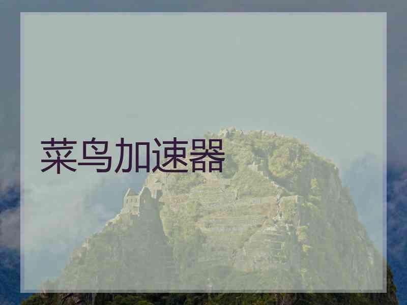 菜鸟加速器