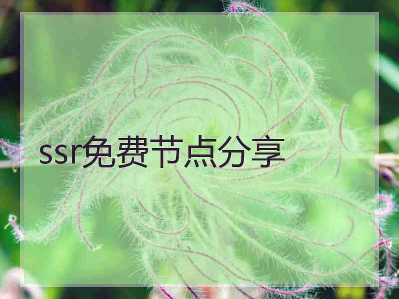 ssr免费节点分享