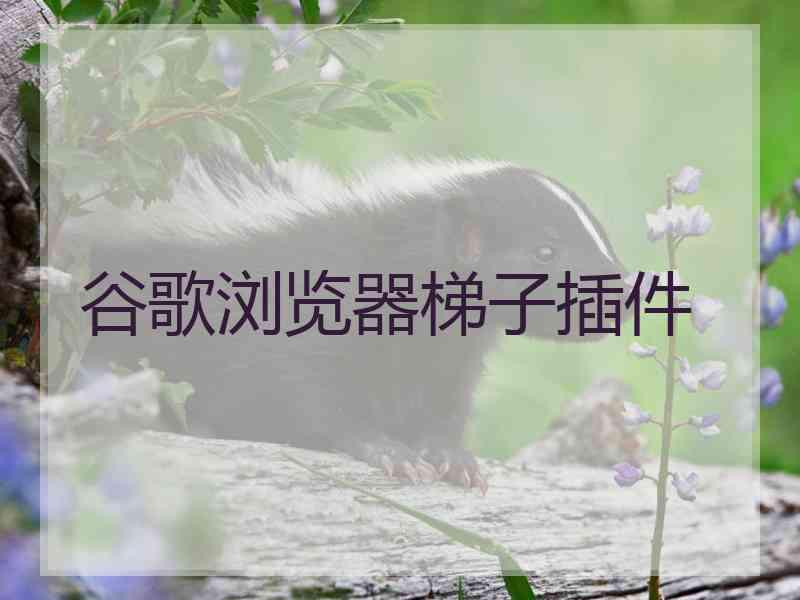 谷歌浏览器梯子插件