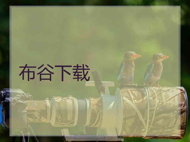 布谷下载