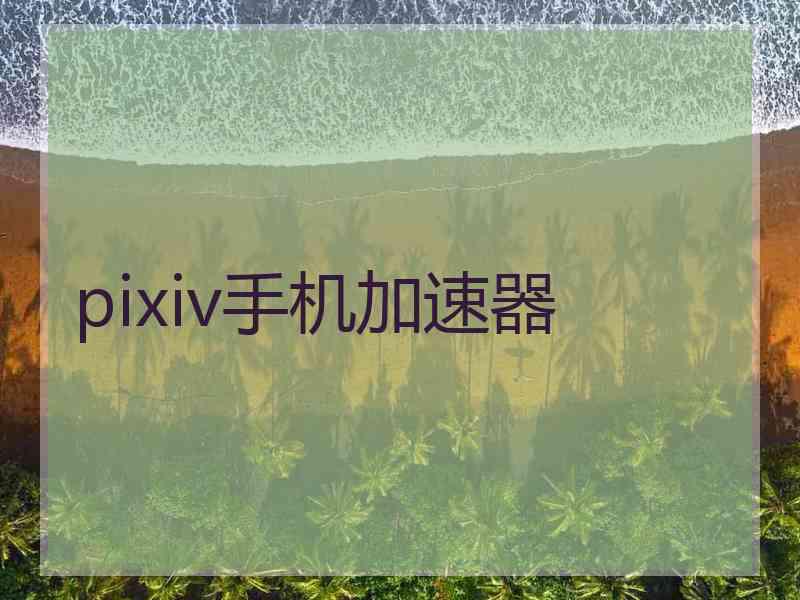 pixiv手机加速器