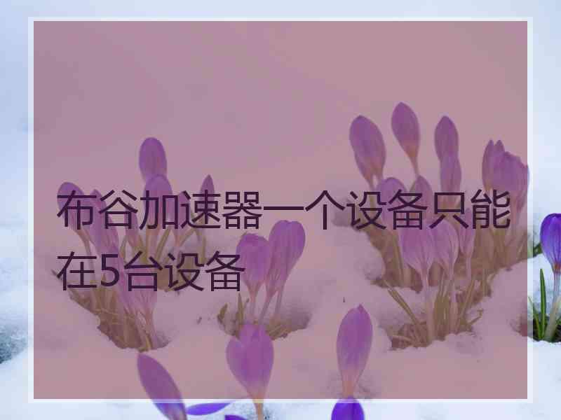 布谷加速器一个设备只能在5台设备