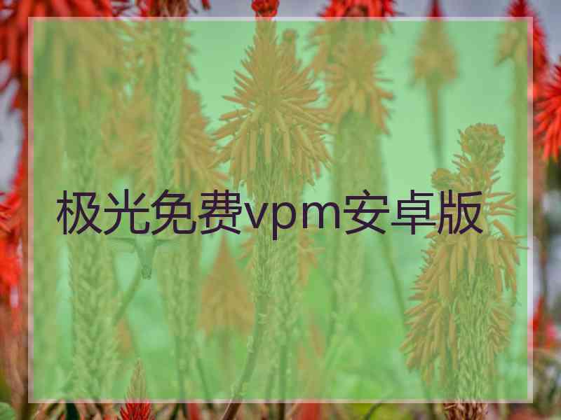 极光免费vpm安卓版
