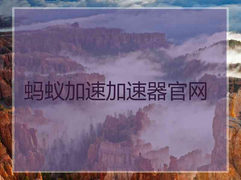 蚂蚁加速加速器官网