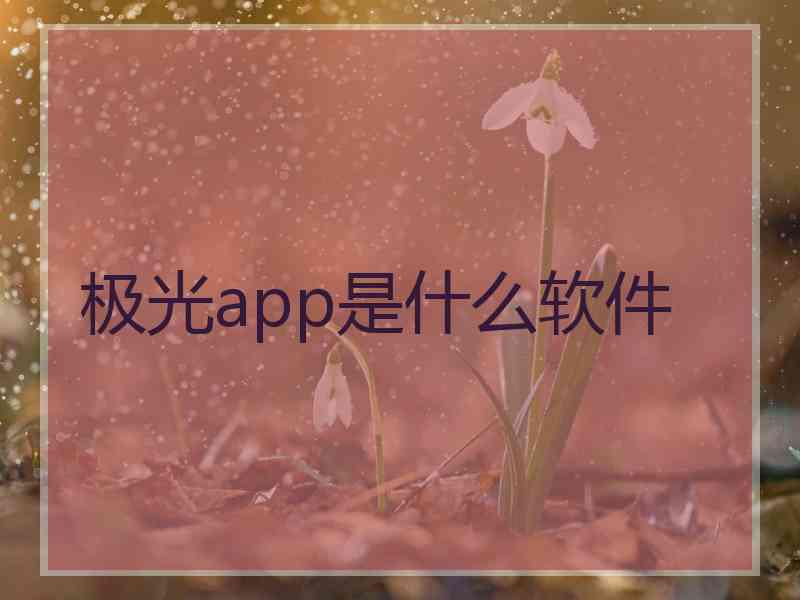 极光app是什么软件