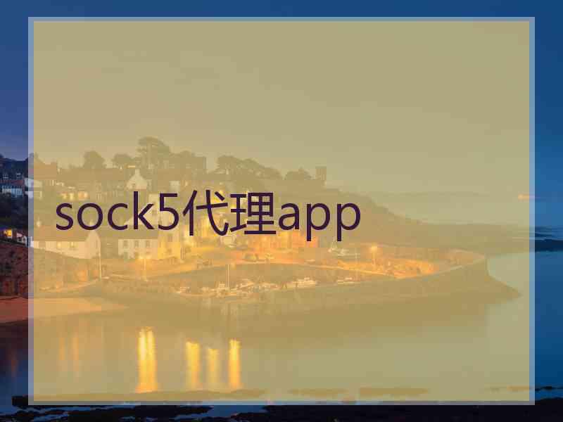 sock5代理app