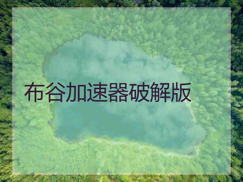 布谷加速器破解版