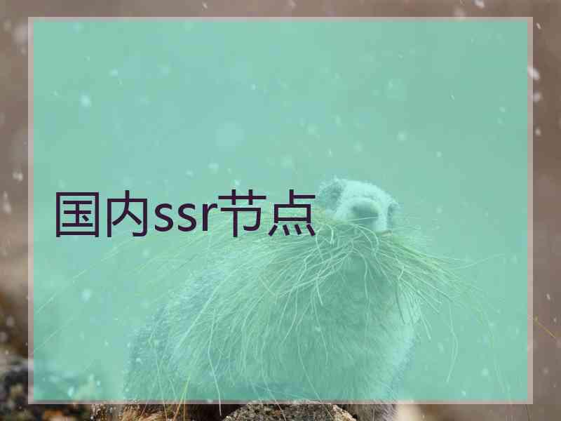 国内ssr节点