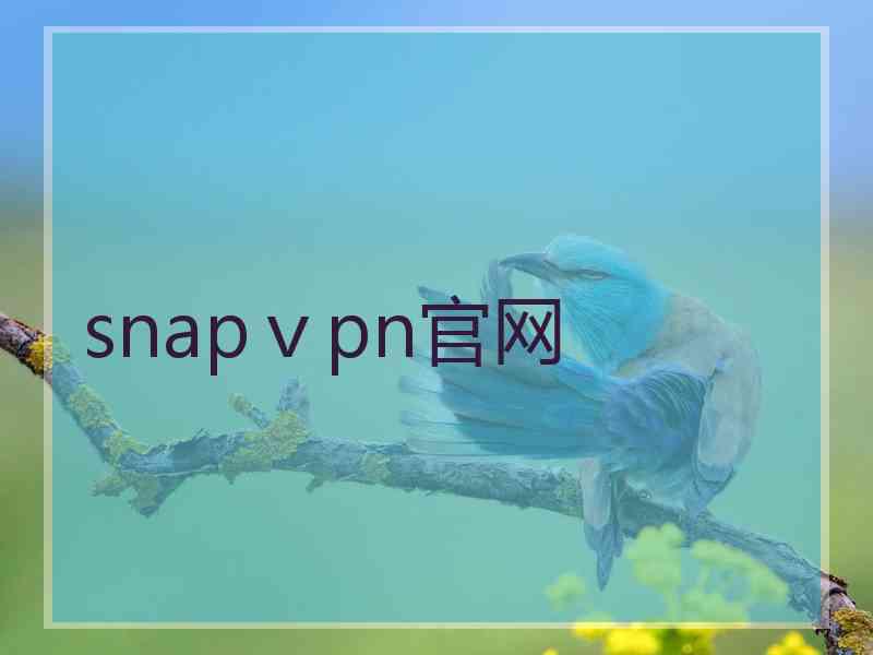 snapⅴpn官网