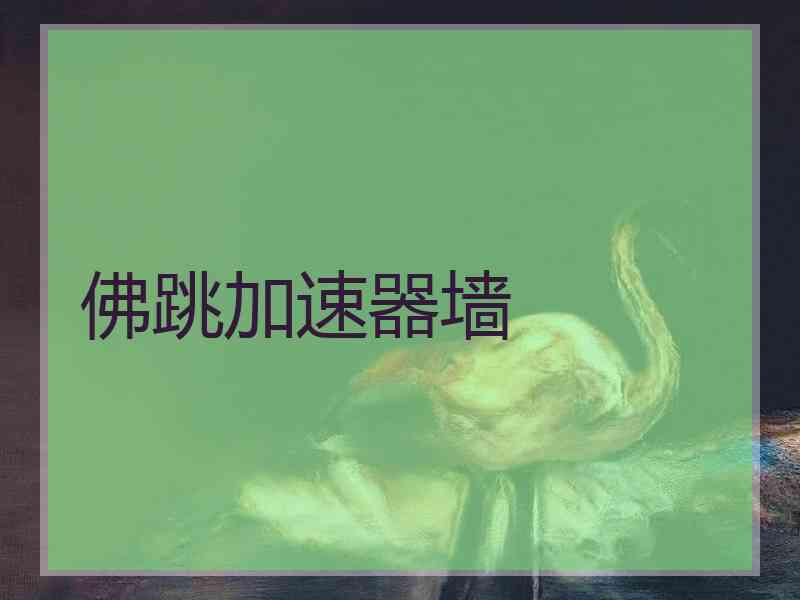 佛跳加速器墙