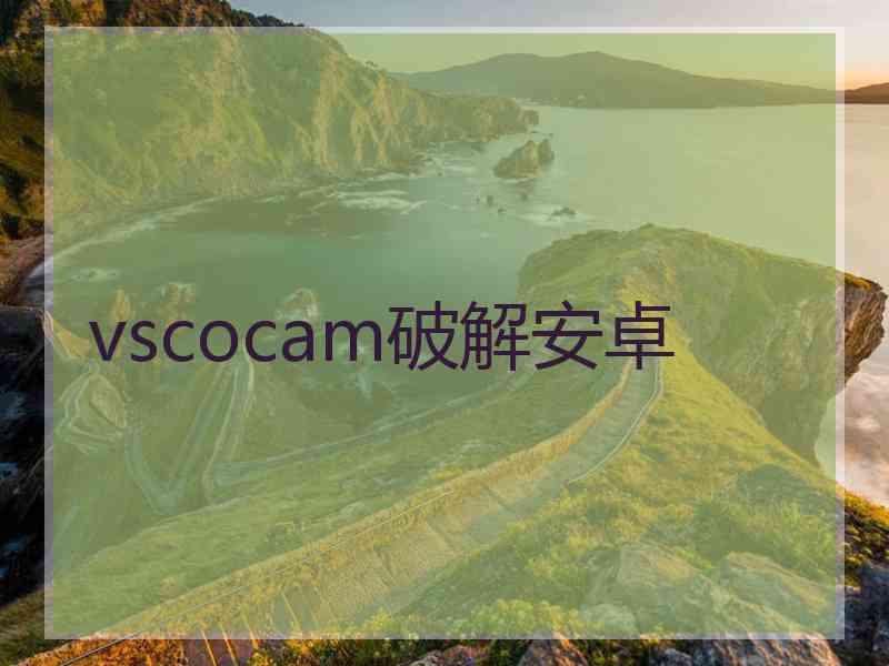 vscocam破解安卓