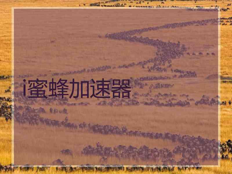 i蜜蜂加速器