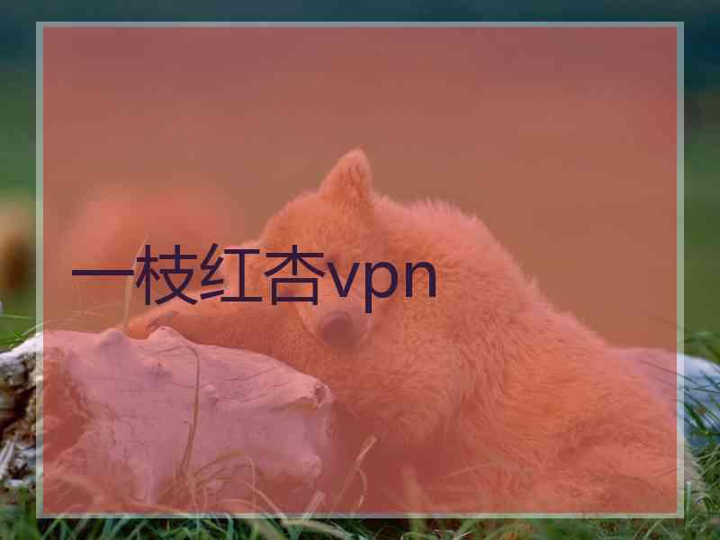 一枝红杏vpn