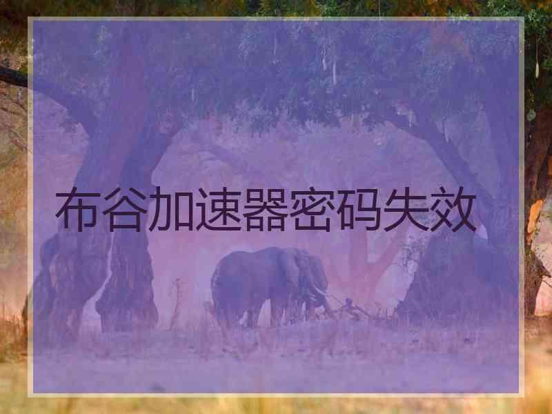 布谷加速器密码失效