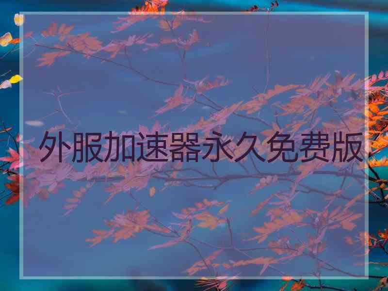 外服加速器永久免费版