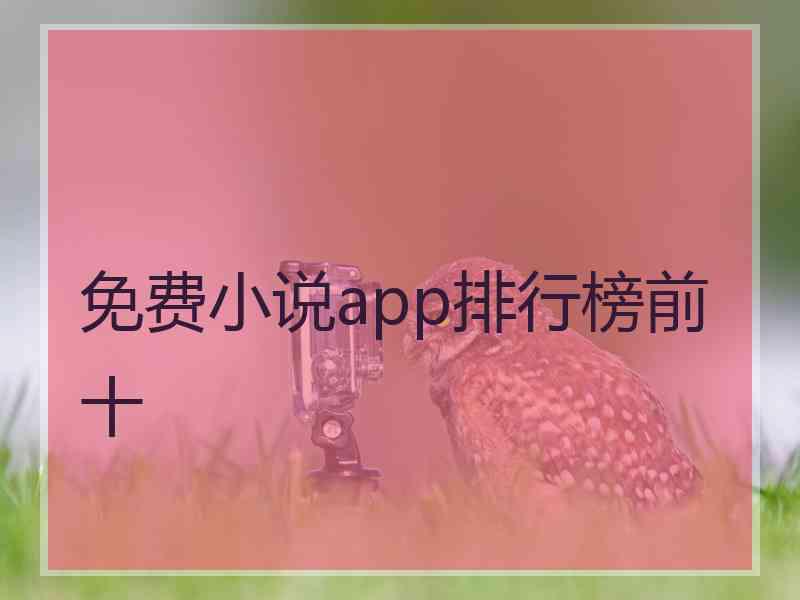 免费小说app排行榜前十