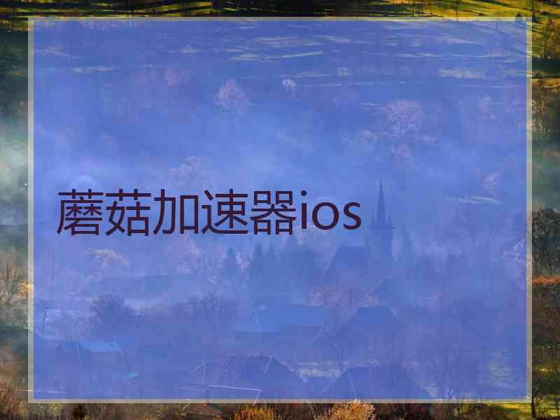 蘑菇加速器ios