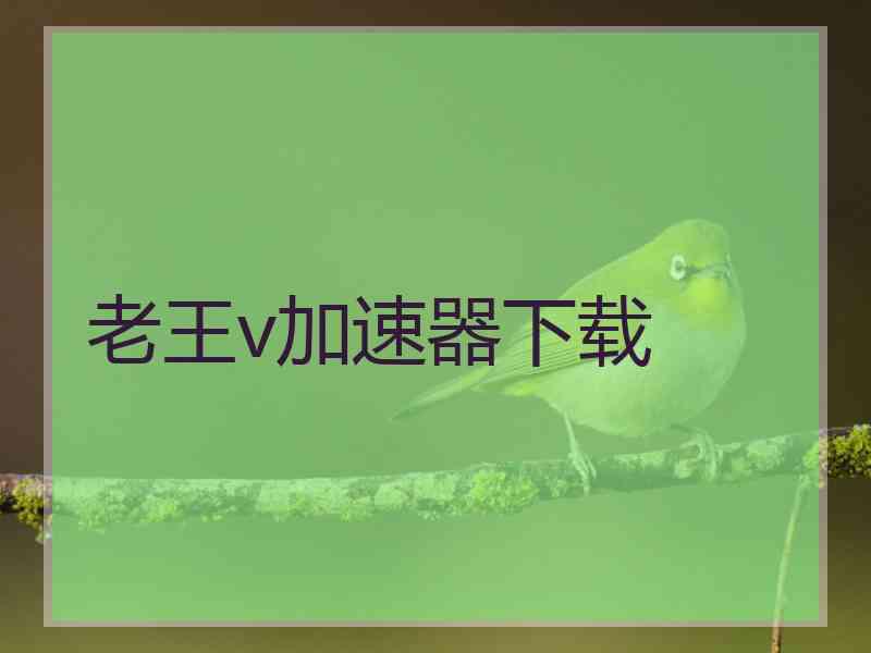 老王v加速器下载