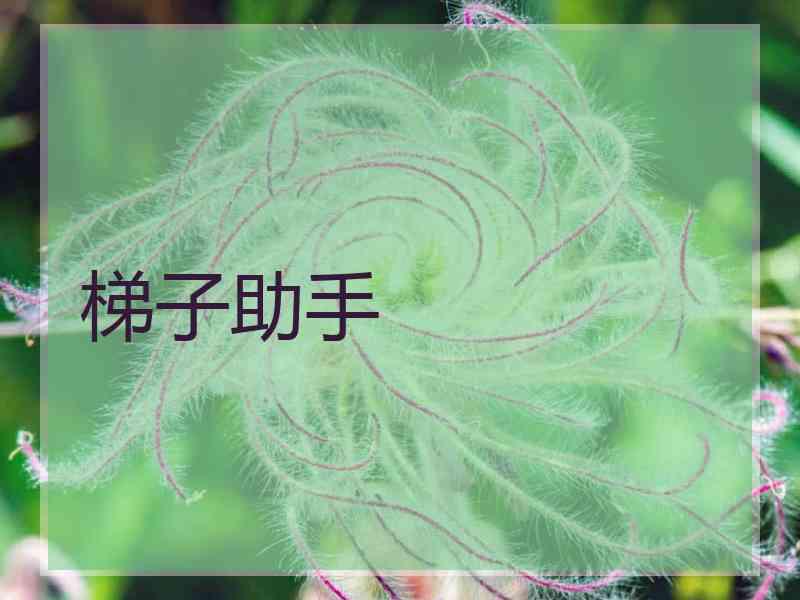 梯子助手